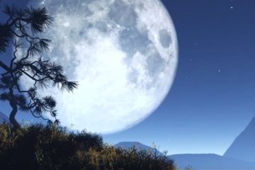 Гороскоп на 24 февраля 2020 года