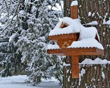 Україну накриють ще дві хвилі похолодання - морози до мінус 25 - синоптики назвали дати. Фото: Стіна