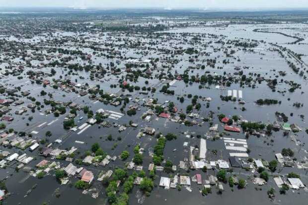 Колишнє Каховське водосховище заростає вербовим лісом, 2026 рік