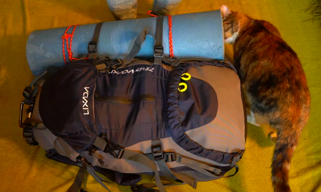 Украинцам во всех городах дали срочную инструкцию. Фото: YouTube