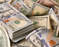 Курс валют в Україні, долар, НБУ. Фото: Telegram