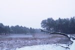 Погода в Украине.  Фото: скриншот YouTube-видео