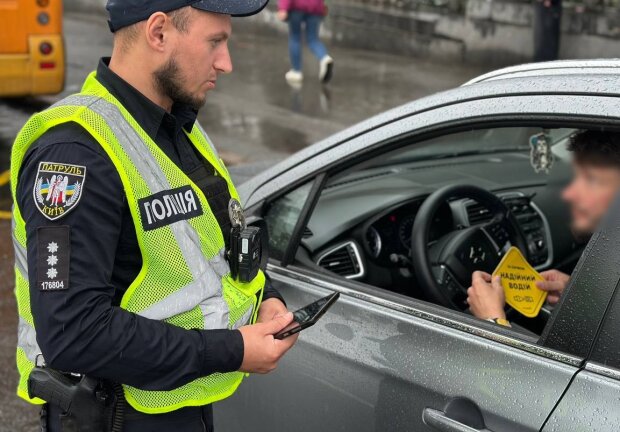 В МВД предупредили всех водителей о проверке документов - от прав до техосмотра