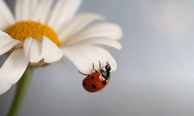 Погода на 9 июля 2020 года