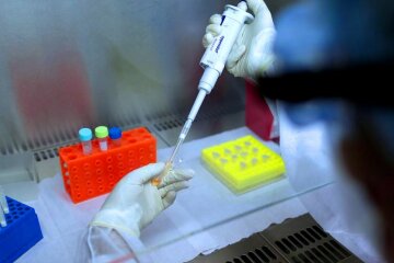 Коронавирус мутирует. Фото: скриншот YouTube