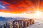 Природа. Фото: скриншот YouTube-видео