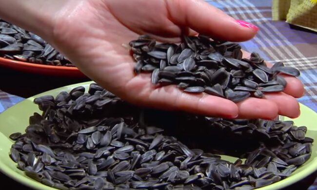 Вред от семечек. Фото: скриншот YouTube