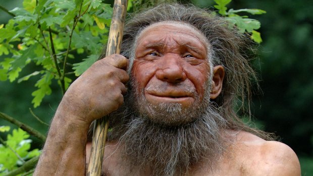 Неандертальцев уничтожили болезни 40 000 лет назад