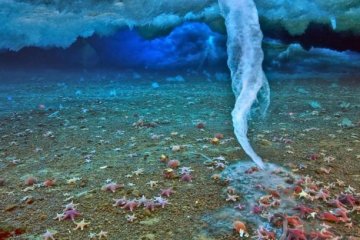 У берегов Антарктиды ученые нашли необъяснимое явление