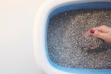 Наполнитель для кошачьего туалета. Фото: YouTube