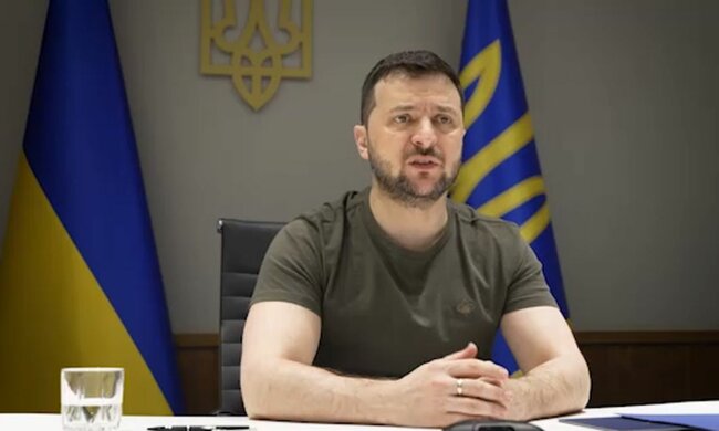 Владимир Зеленский. Фото: скриншот Telegram-видео