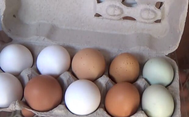 Дешевые украинские яйца, фото: youtube.com