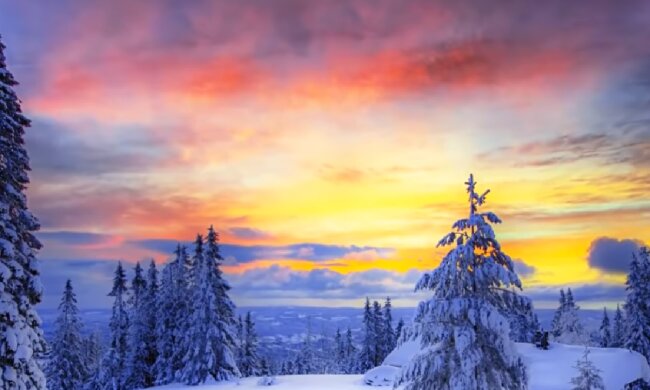 Природа. Фото: скріншот YouTube-відео