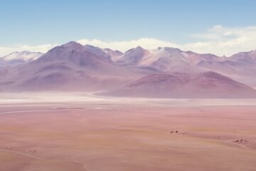 Пустеля Атакама. Фото: скріншот YouTube