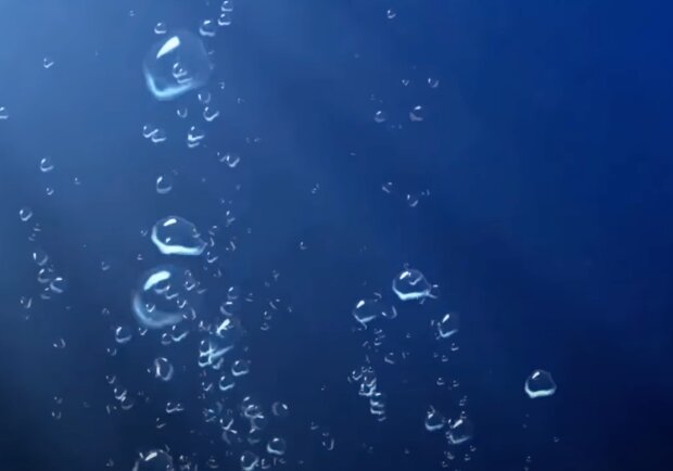 Подводный мир. Фото: скриншот YouTube