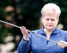 Выборы в Литве: кто станет президентом вместо Грибаускайте