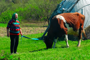 Якою буде пенсія з інвалідності у серпні. Фото: YouTube
