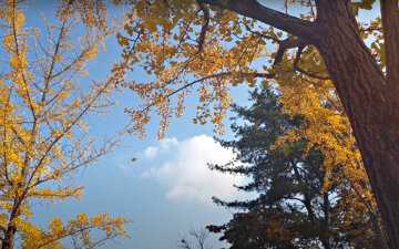 Погода в Украине. Фото: скриншот YouTube-видео.