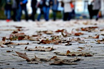 Погода в Украине. Фото: скриншот YouTube-видео.