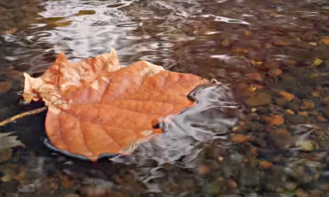 Погода в Україні. Фото: скріншот YouTube-відео.
