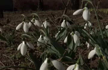 Синоптики пообещали украинцам жаркую и солнечную погоду. Фото: скриншот YouTube