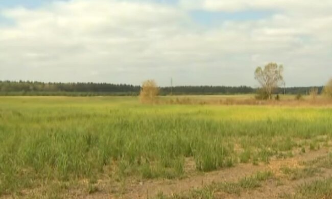 Сельхоз земля. Фото: скриншот Youtube