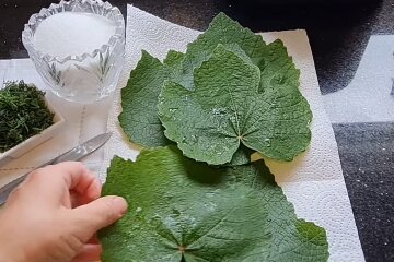 Обов'язково спробуйте цю красу: рецепт маринованих огірків у виноградному листі