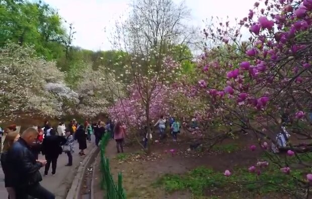 Парк в Киеве. Фото: скриншот YouTube-видео