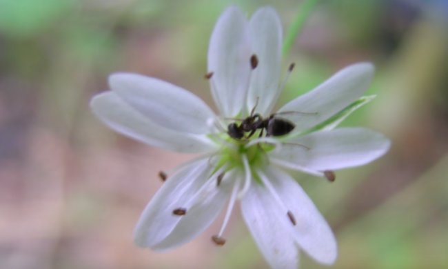 Погода на 24 марта 2020 года