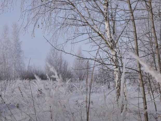 11-градусные морозы и гололед: Диденко рассказала, какой будет погода в воскресенье, 6 декабря