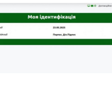 ПФУ запустил сервис "Моя идентификация", его нужно пройти всем пожилым