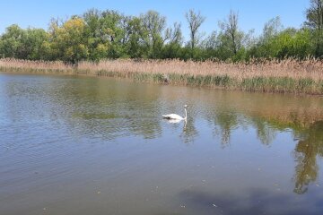 Штраф 3400 грн за одну рибку: в Україні запрацювали абсолютно нові правила для рибалок