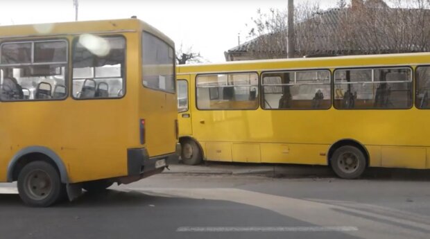 Автобусы. Фото: скриншот Youtube