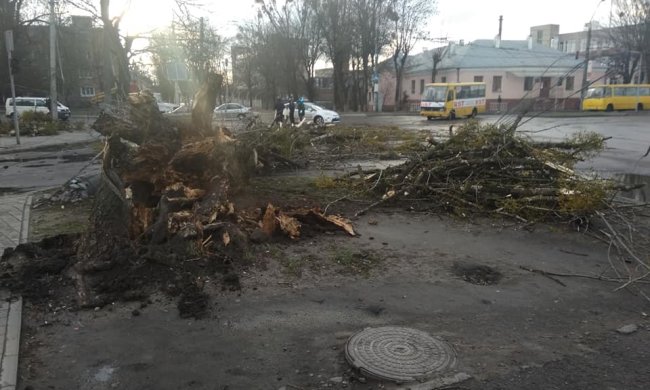 Источник: Zik.ua