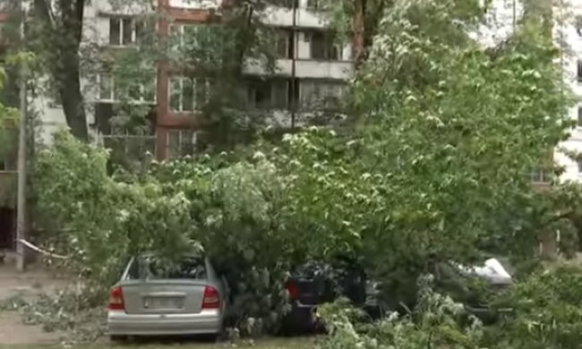 Непогода в Украине. Фото: скриншот YouTube-видео