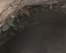 Печера. Фото: скріншот YouTube