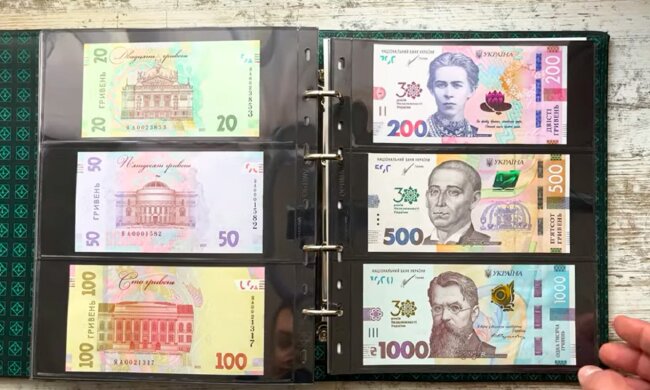 Гривны, коллекция, банкноты. Фото: YouTube