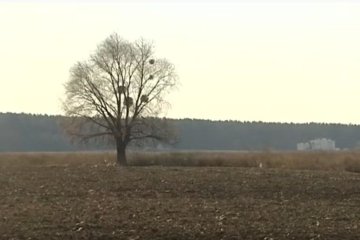 Земля народу: как получить земельный участок бесплатно, что надо знать