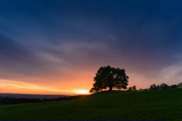 Природа. Фото: скріншот відео YouTube