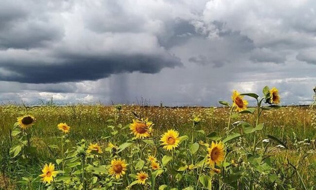 Грозы, дожди. Фото: скриншот Youtube