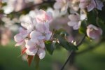 Погода на выходные: Пасха будет холодной и дождливой