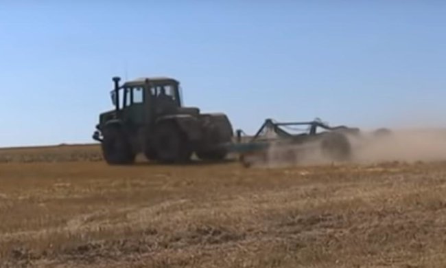 Социолог рассказал о вопросе земельной реформы. Фото: скрин youtube