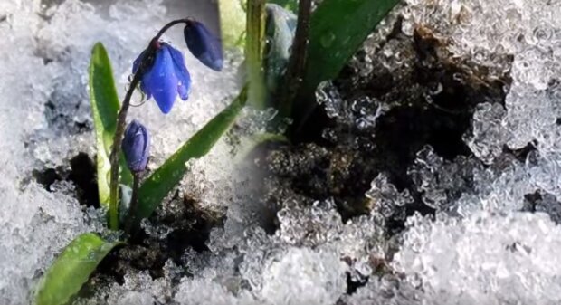 Дощі і різке похолодання: синоптики назвали області, де 17 березня стане холодно