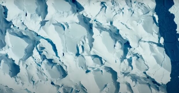 Антарктида. Фото: скрин youtube