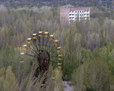 Ученые предупреждают об опасном хищнике в Чернобыле: встреча с туристами неминуема