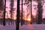 Зима. Фото: YouTube, скрин