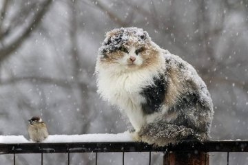 Зима. Фото: Газета 2000