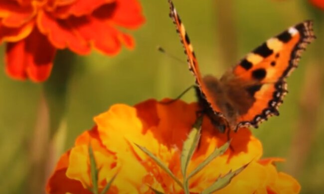 Погода на 23 августа 2020 года