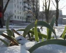 В Украину идет сильное похолодание. Фото: скриншот YouTube