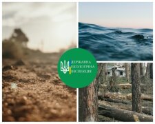 Экологический контроль западного образца в Украине: от карательной концепции до предупреждения и устранения негативных последствий